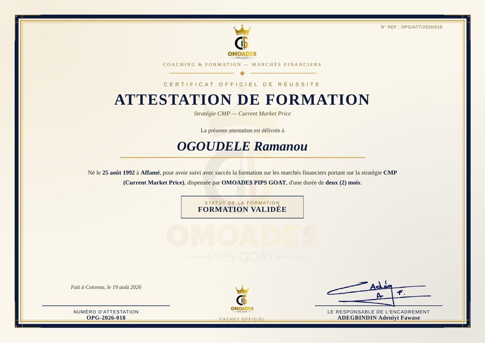 Attestation de formation délivrée à OGOUDELE Ramanou, stratégie CMP