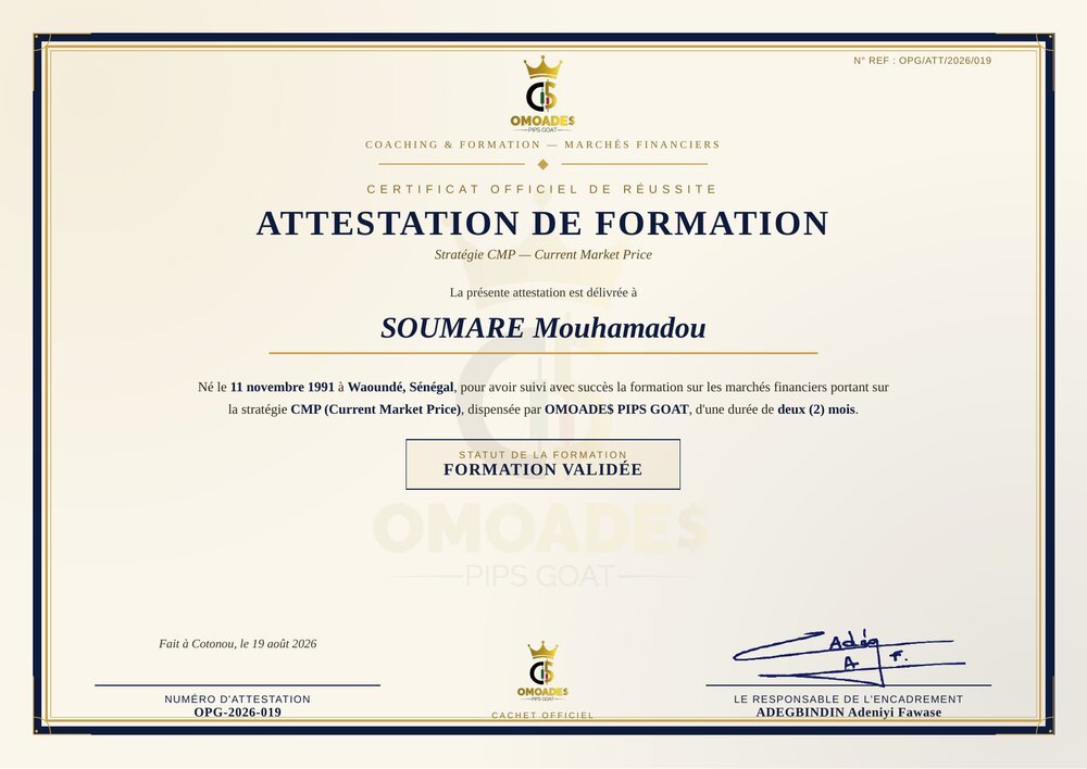 Attestation de formation délivrée à SOUMARE Mouhamadou, stratégie CMP